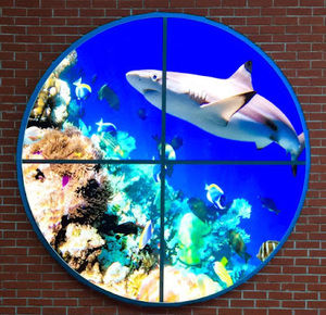 Meet your Posher, Gavin